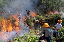 More than 8 mln USD given to fund forest fire control