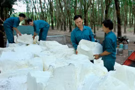 Rubber sector urged to enhance added value