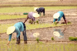 Canada doles out 12.9 million USD for Vietnam’s agriculture 