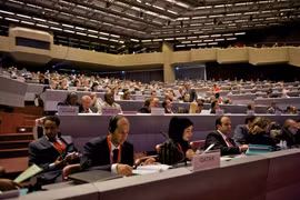 Vietnam attends 32nd conference of Red Cross and Red Crescent