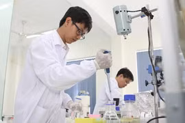 High-tech park contributes to HCM City economy 
