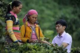 Young commune officials land jobs