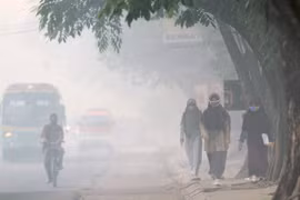 Indonesia forest fire suspects named