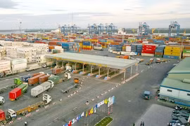 HCM City reports robust growth