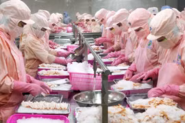 Vietnam, Slovenia look for closer trade links