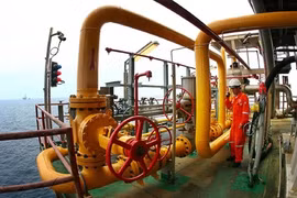 Vietnam's top 500 firms named 
