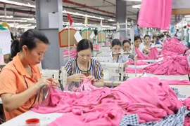 TPP’s impacts on investment attraction in Vietnam: seminar 