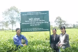 High-tech production needed in farming