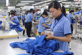 Binh Duong lures over 3 bln USD in FDI 