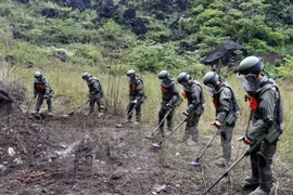 Vietnam, China join hands in mine clearance along border 