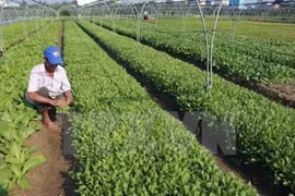 Quang Ninh invites investment in agriculture 