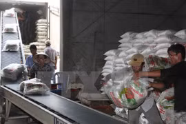 Vietnam’s rice shipments could hit 6.8 million tonnes