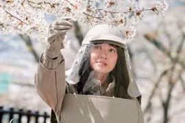 Vietnam, Japan to produce drama film