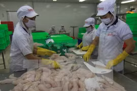 Vietnam on track to become world's 10th biggest exporter: HSBC 
