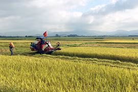 Quang Ninh: two thirds of communes recognised as new rural areas