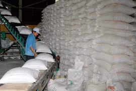 Vietnam expects 45 million tonnes of rice this year