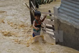  Death toll from Typhoon Koppu rises to 47 