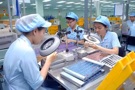 Dong Nai exceeds FDI target 