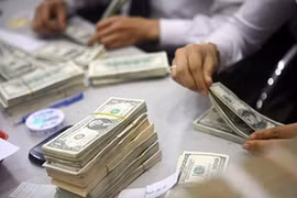 Vietnam a top remittance recipient 