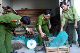 Vietnam, African nations target wildlife trade