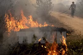 Number of hot spots in Indonesia drops 