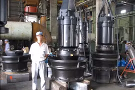 Japanese companies seek to develop projects in Hai Duong