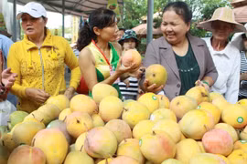 Preferential import tariffs for RoK goods announced