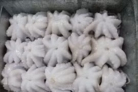 RoK - Vietnam’s leading squid, octopus importer