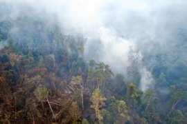 Japan helps Indonesia tackle fires