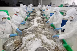 Vegetable, aquatic exports to gain most from TPP: expert