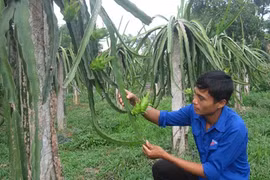 Man finds success in farming after failures