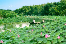 Dong Thap appeals to tourists with environmentally-friendly tourism