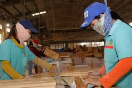 HCM City businesses urged to improve integration capacity 