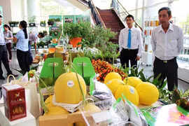 Agriculture festival introduces farmers’ outstanding products 