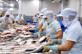 Social responsibility practice to promote fisheries sector’s standing