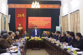 Hanoi enhances preservation of Co Loa relic site