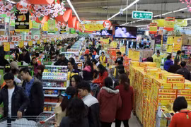 Vietnamese firms advised to embrace links with foreign retailers