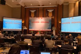 Denmark shares experience in sustainable urban development