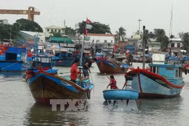 Vietnam to impose harsh punishments on illegal fishing