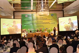 FAO helps Asia-Pacific’s agriculture adapt to climate change