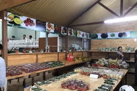 Lam Dong province develops agritourism