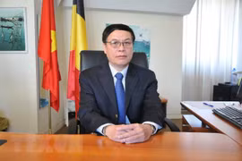 Vietnam boosts cooperative ties with Belgium, EU: diplomat