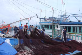 Quang Ngai tightens control of fishing activities to fight IUU