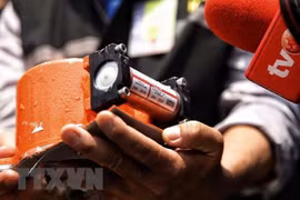 Indonesia air crash: hours of data recovered from black box 