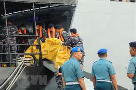 Indonesia to investigate Lion Air after deadly plane crash