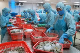 White Book on IUU fishing in Vietnam announced 