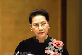 Vietnam, Netherlands set example of effective ties
