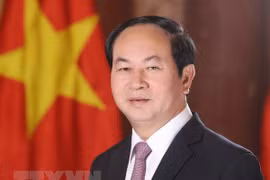 President emphasises Vietnam's desire to boost ties with Egypt