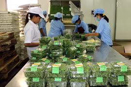 Agriculture sector targets 3 pct annual growth by 2020 