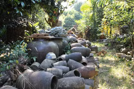 New Vietnamese archeological findings announced 